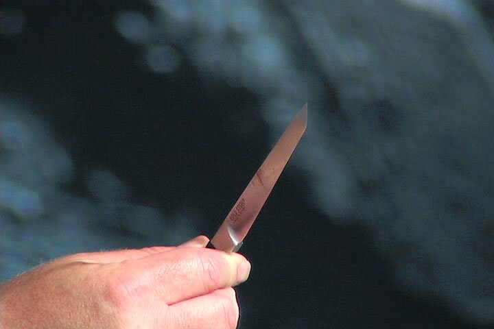Cold Steel Spike series