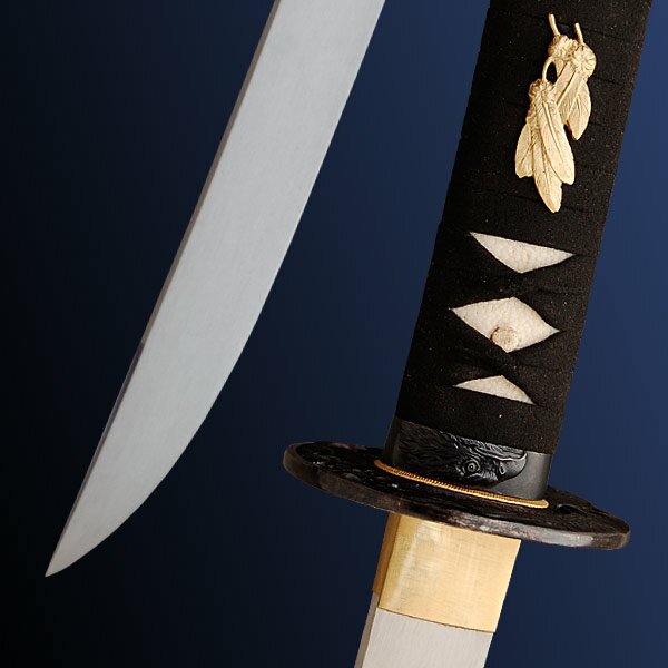 Hanwei Raptor Wakizashi