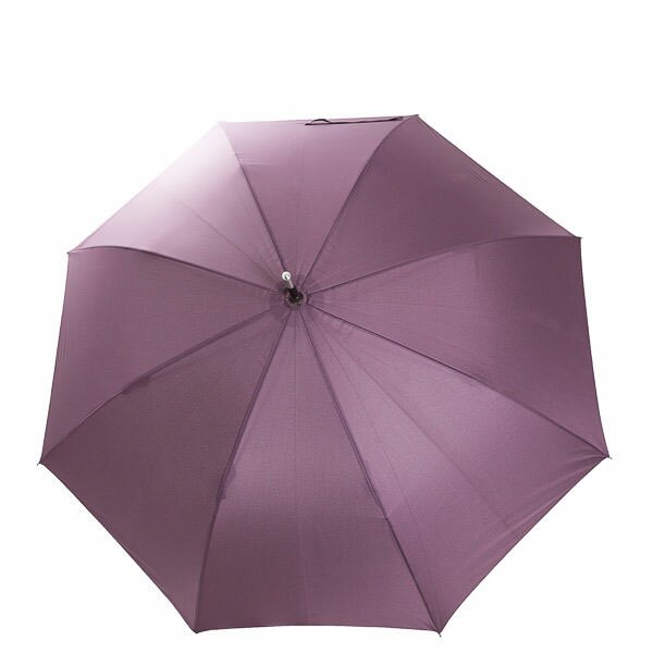 Security Umbrella for women