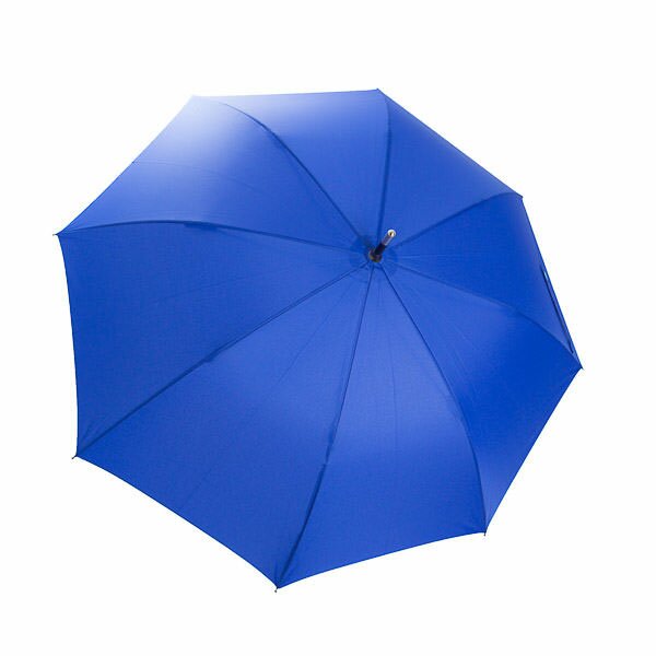 Security Umbrella for women