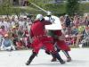 Hanwei Practical Single-Hand Sword