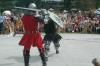 Hanwei Practical Single-Hand Sword