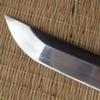Thaitsuki Kanshiki Wakizashi