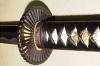 Hanwei Practical Plus Katana