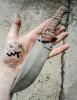 Knife Haast Eagle - Wander Tactical