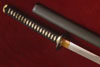 Citadel Katana Battodo